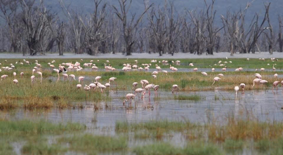 Bạn biết gì về Châu Phi?
