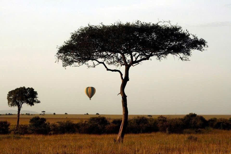 Bạn biết gì về Châu Phi?