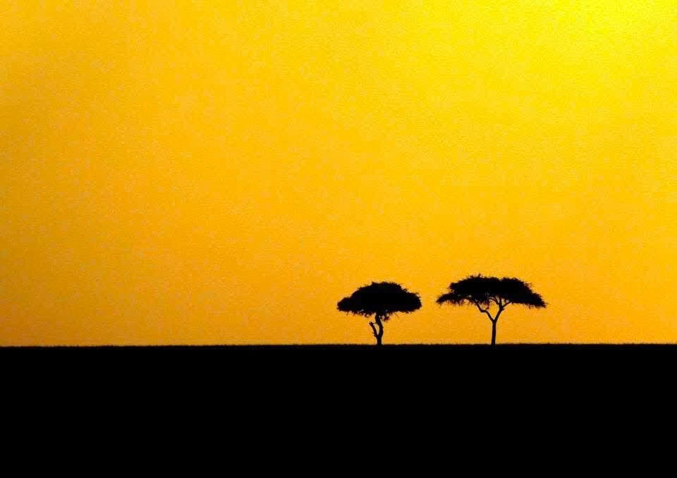 Bạn biết gì về Châu Phi?