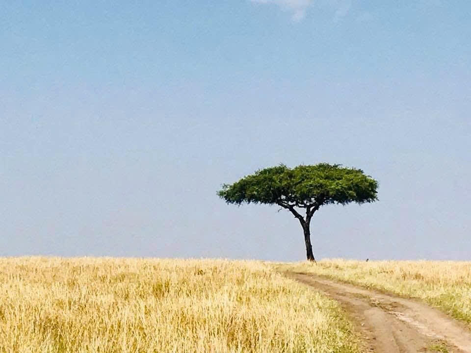 Bạn biết gì về Châu Phi?