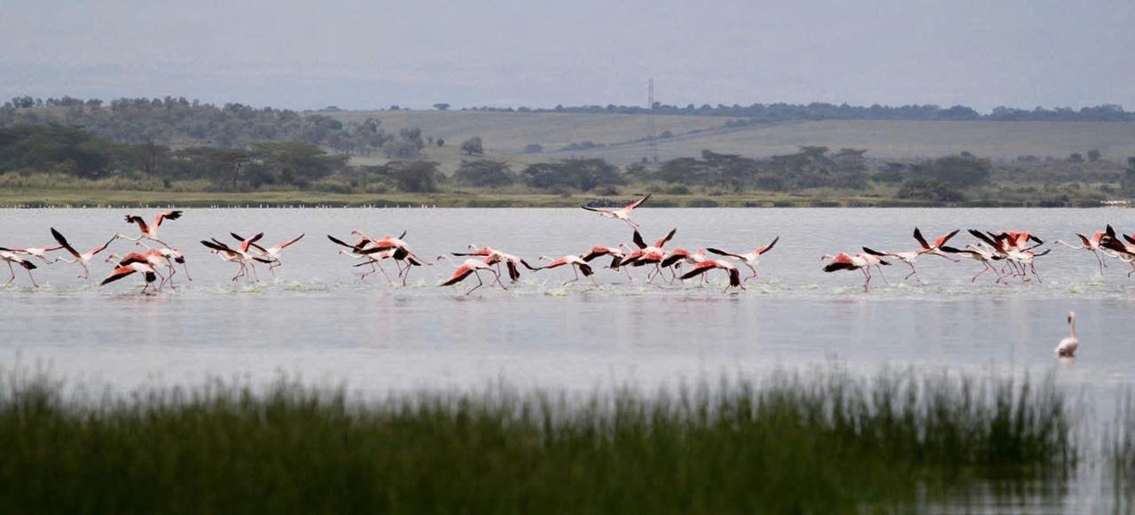 Bạn biết gì về Châu Phi?