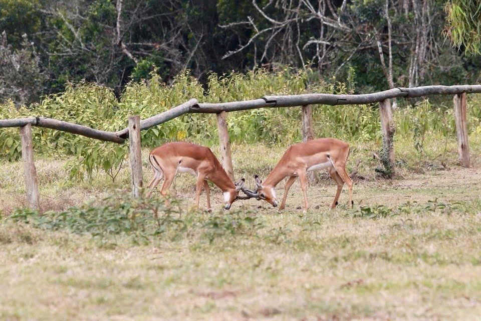 Bạn biết gì về Châu Phi?