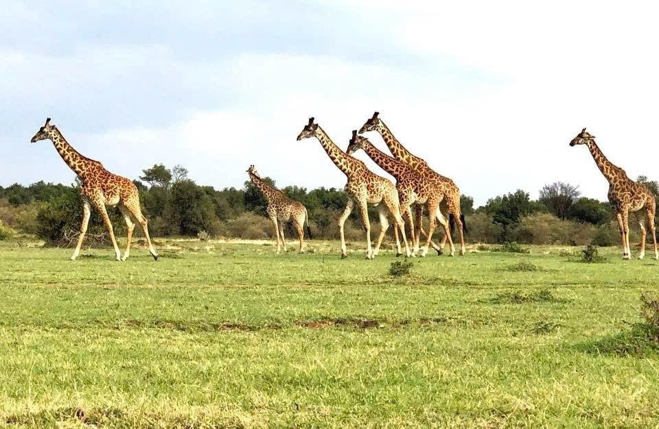 Bạn biết gì về Châu Phi?