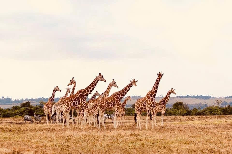 Bạn biết gì về Châu Phi?