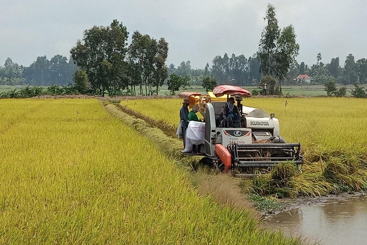 Hậu Giang: Khẩn trương, đảm bảo đúng tiến độ hai sự kiện lớn diễn ra cuối năm