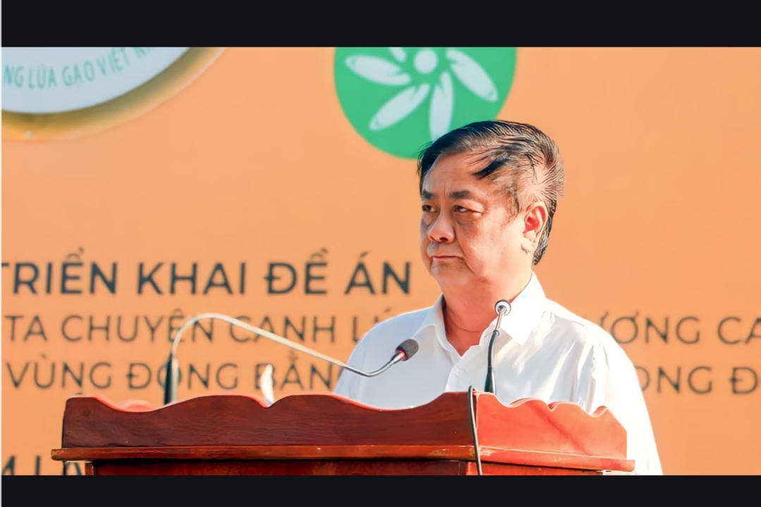 Phát động đề án 1 triệu ha chuyên canh lúa chất lượng cao tại Hậu Giang