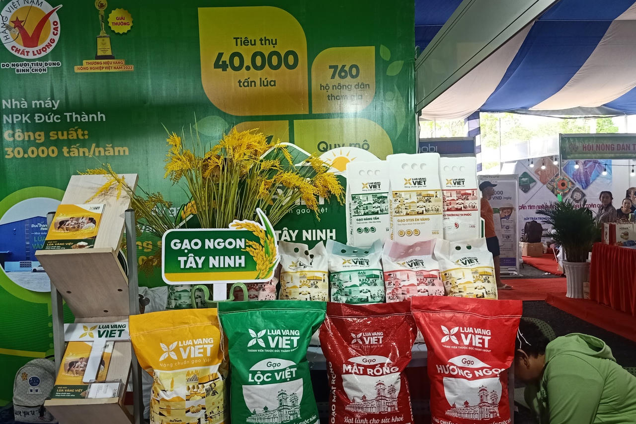 Phát triển chuỗi giá trị lúa gạo Việt Nam trách nhiệm và bền vững