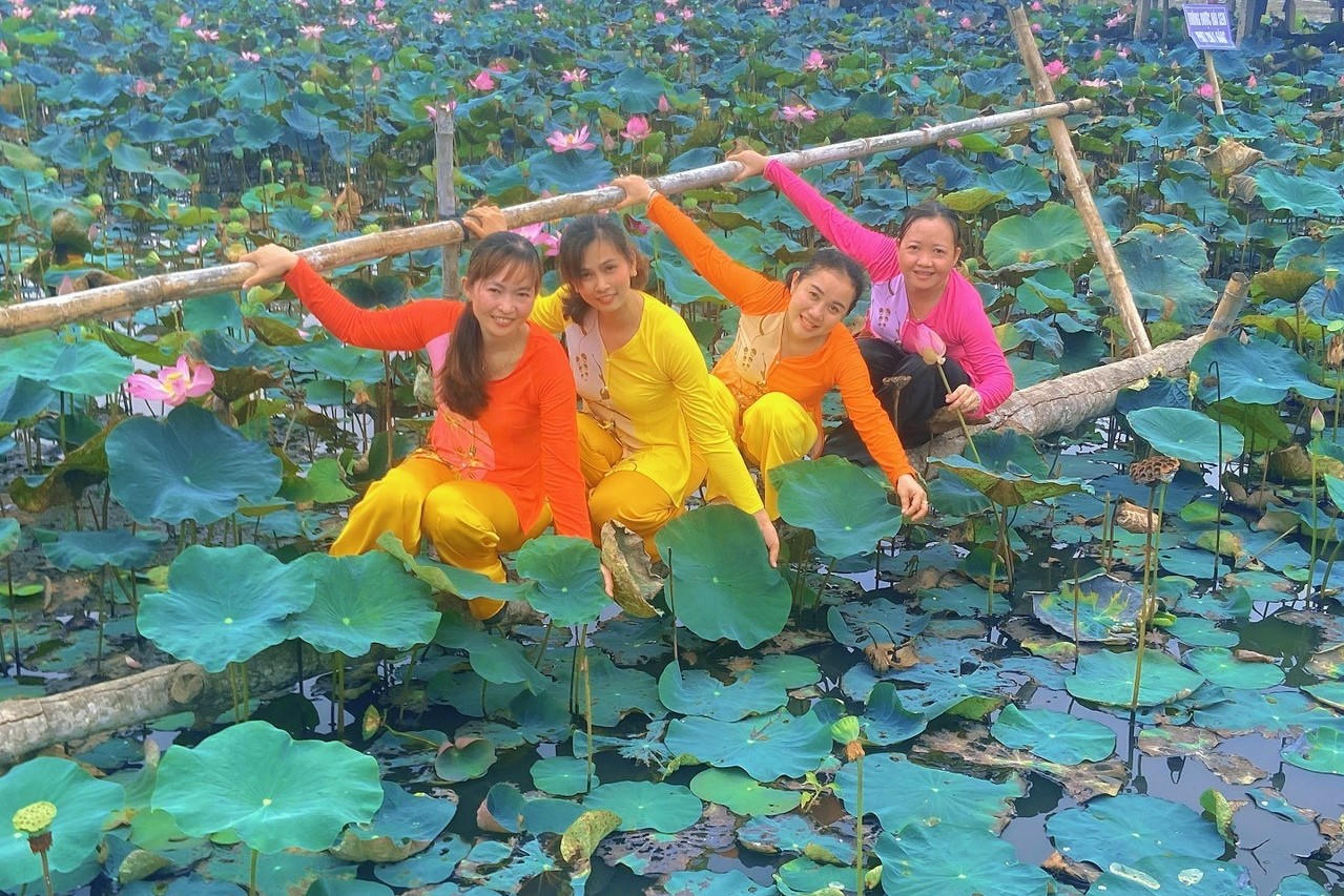 Đồng Tháp: 66.000 chậu Sen tại Lễ hội Sen lần thứ II năm 2024