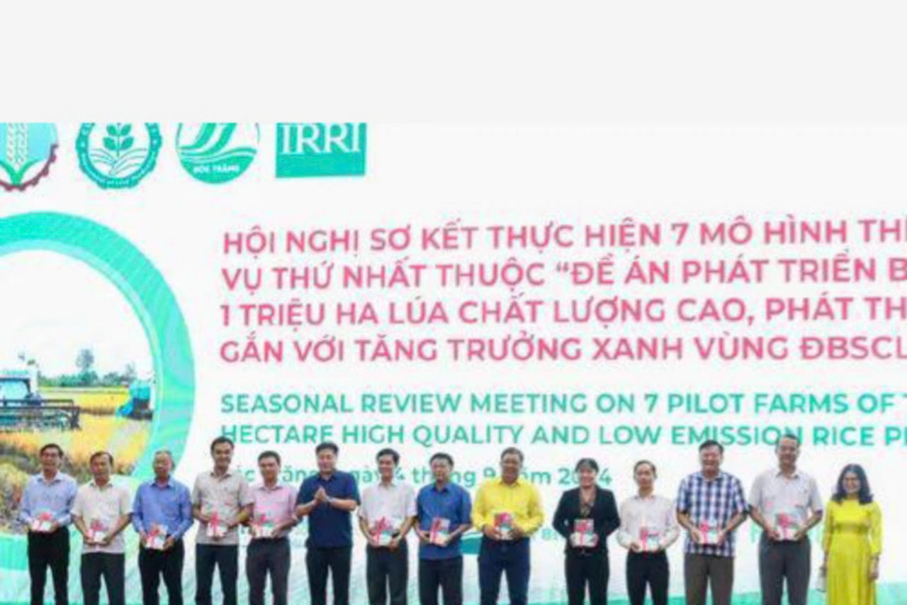 Mô hình Đề án 1 triệu ha lúa chất lượng cao giúp tăng lợi nhuận, giảm phát thải khí nhà kính