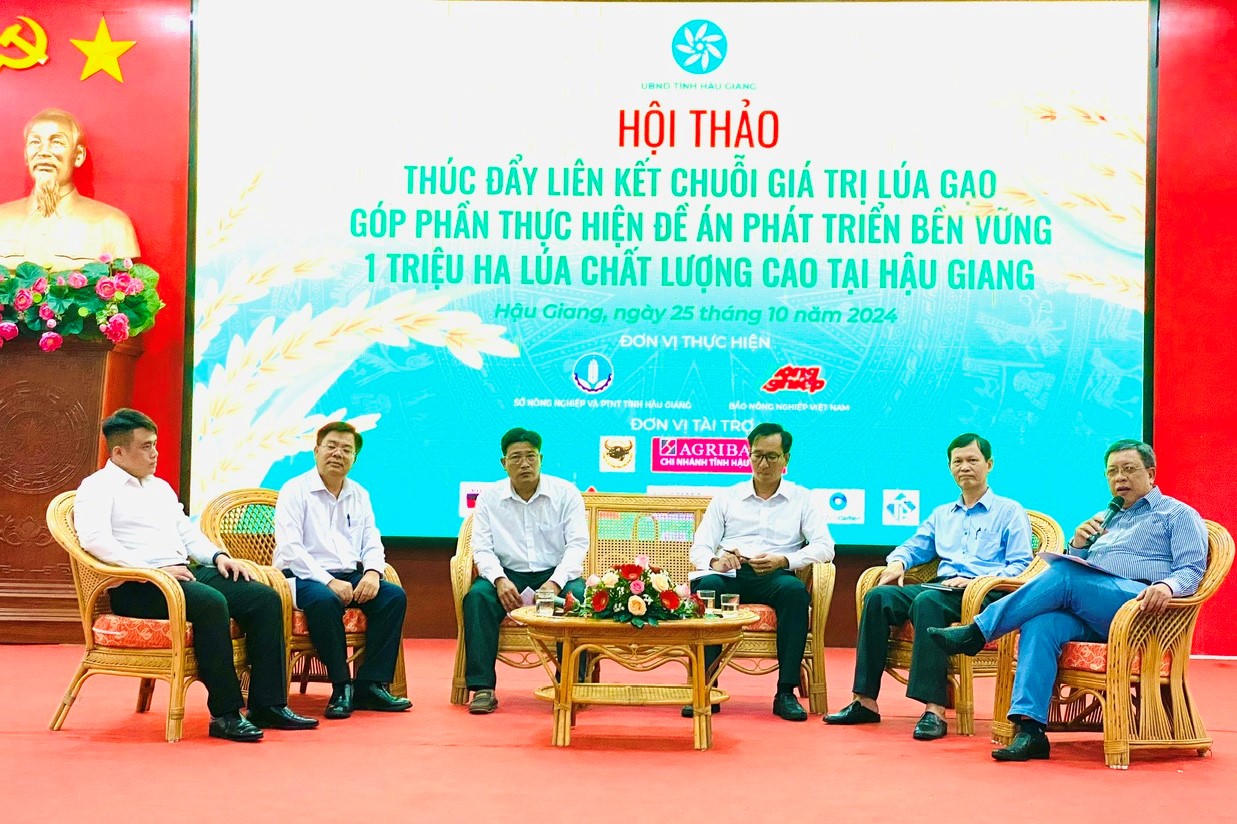 Bàn giải pháp đẩy mạnh liên kết hướng tới 1 triệu ha lúa chất lượng cao tại Hậu Giang