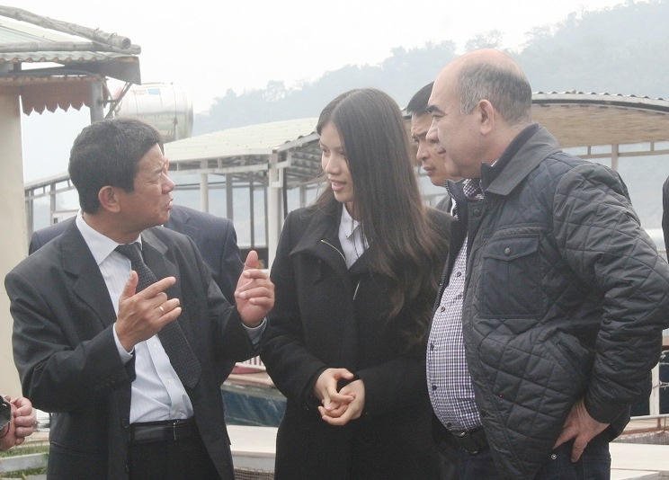 Mô hình cá sạch và “ngoại giao nhân dân“