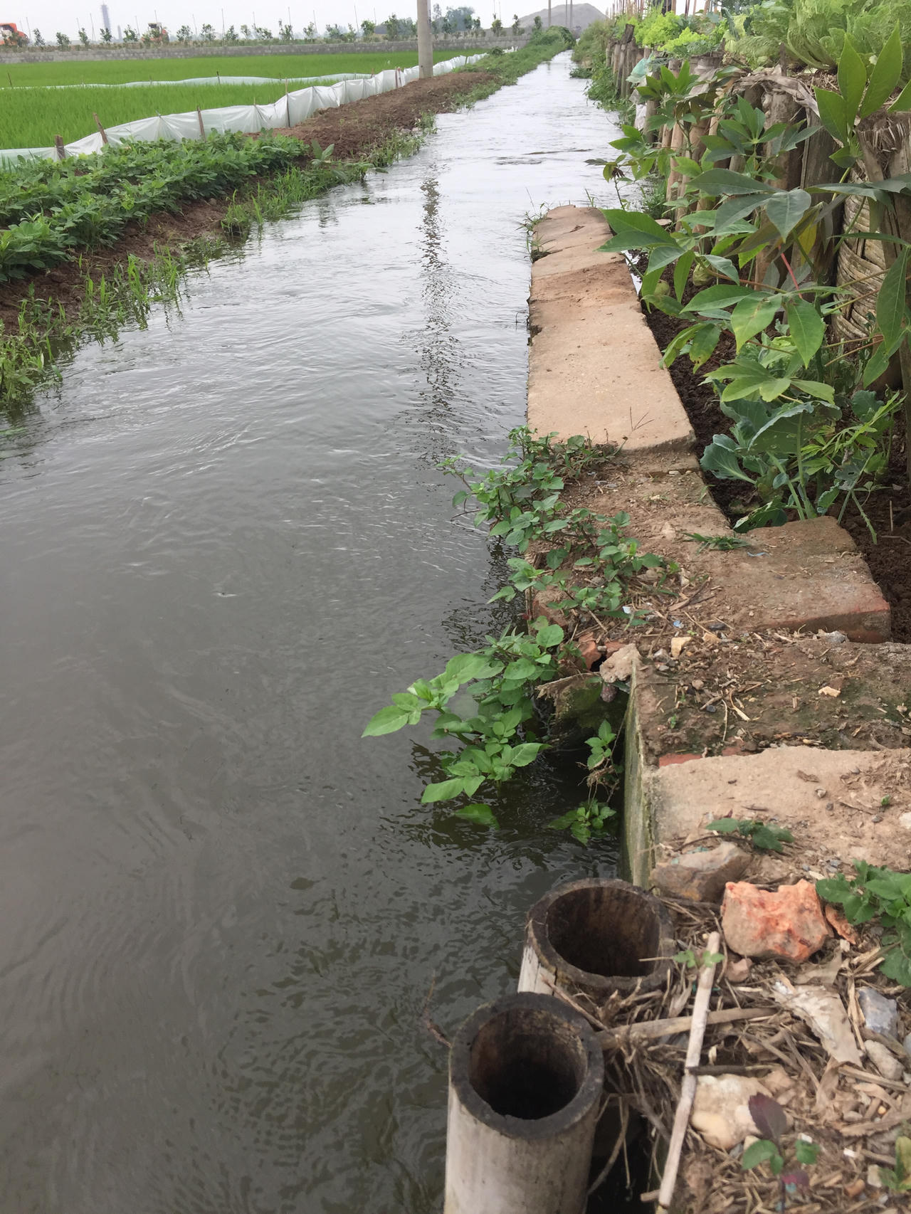 Dự án Trạm bơm Mai Xá bị “rút ruột”: Bộ Nông nghiệp nói địa phương phải chịu trách nhiệm? 