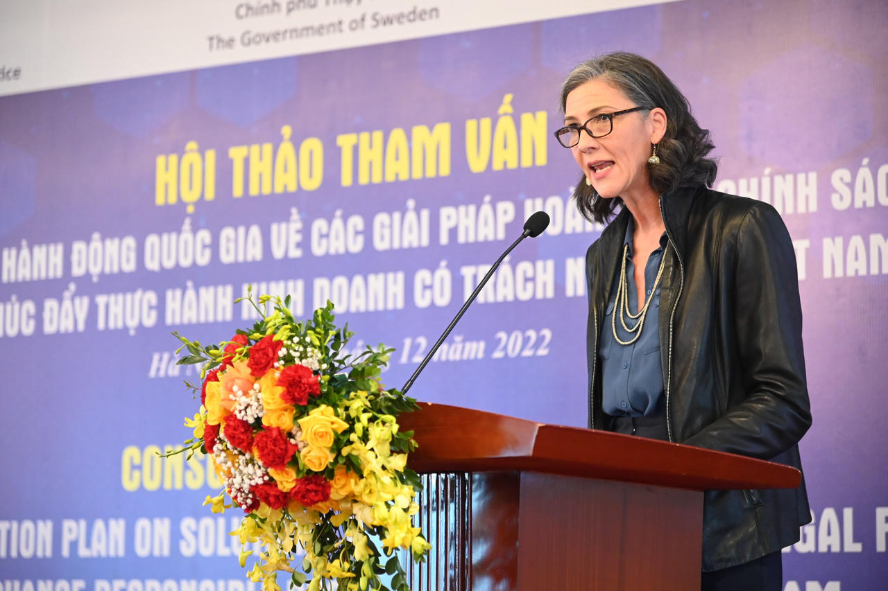 Thúc đẩy thực hành kinh doanh có trách nhiệm tại Việt Nam