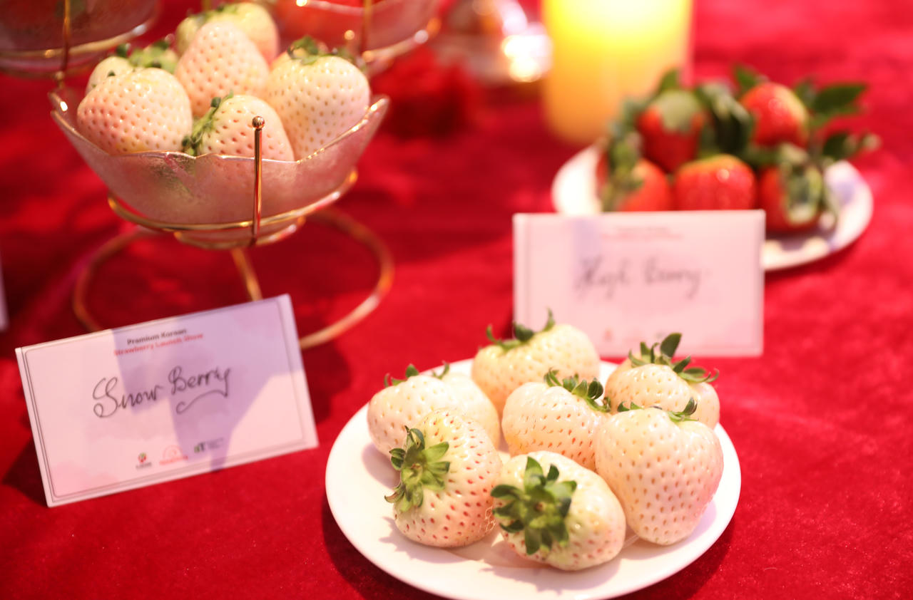 Dâu tây thượng hạng Hàn Quốc ra mắt người tiêu dùng Việt