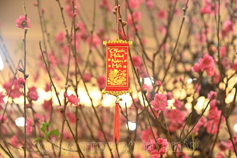 Trụ sở Bộ Tư pháp thay “áo mới” chào mừng Tết Nguyên đán Giáp Thìn năm 2024