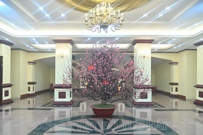 Trụ sở Bộ Tư pháp thay “áo mới” chào mừng Tết Nguyên đán Giáp Thìn năm 2024