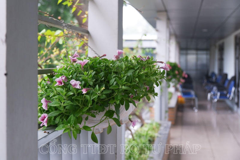 Trụ sở Bộ Tư pháp thay “áo mới” chào mừng Tết Nguyên đán Giáp Thìn năm 2024