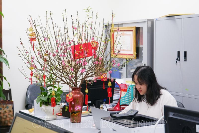 Trụ sở Bộ Tư pháp thay “áo mới” chào mừng Tết Nguyên đán Giáp Thìn năm 2024