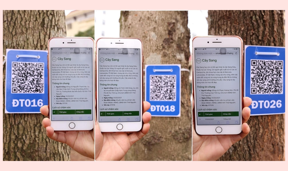 Thái Nguyên là địa phương đầu tiên trong cả nước có Ngày chuyển đổi số