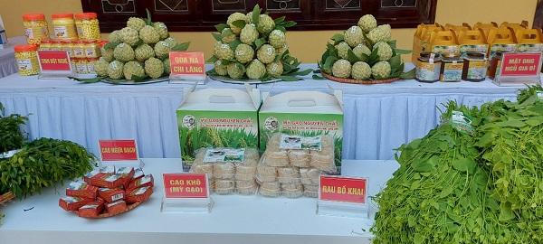 Lạng Sơn ra quân phát triển kinh tế số vì mục tiêu tăng trưởng bền vững