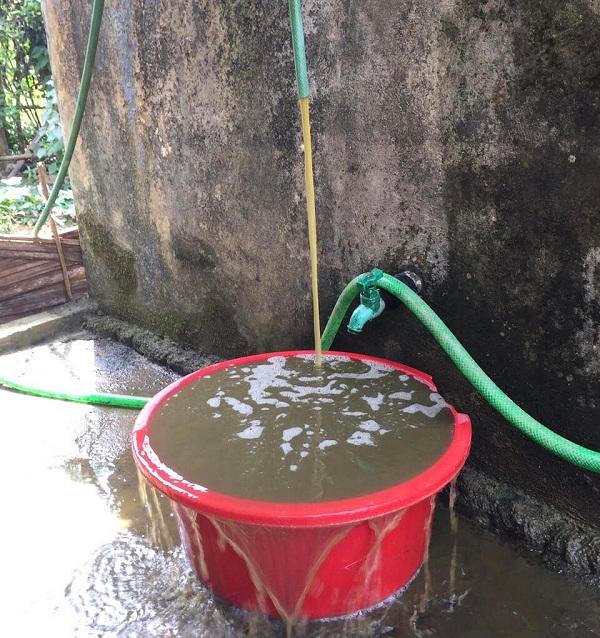 Nuôi trâu vỗ béo rồi bắt dân chịu cảnh ô nhiễm môi trường