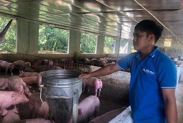 Người trẻ khởi nghiệp thành công trên mảnh đất Hòa Bình