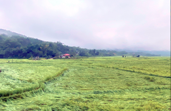 Giông lốc gây 'cuốn' gần 11 tỷ đồng của Điện Biên