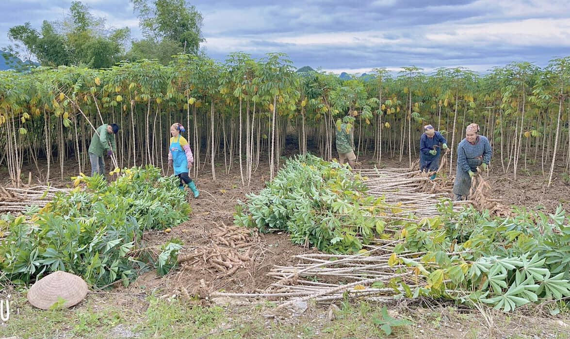 Hiểu nghề nông để giúp nhà nông làm giàu