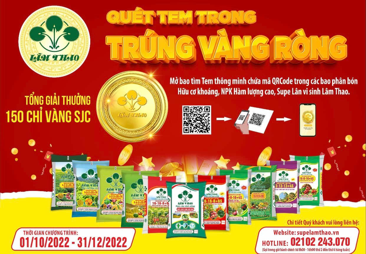 Chìa khóa mở cuốn sách điện tử của Supe Lâm Thao