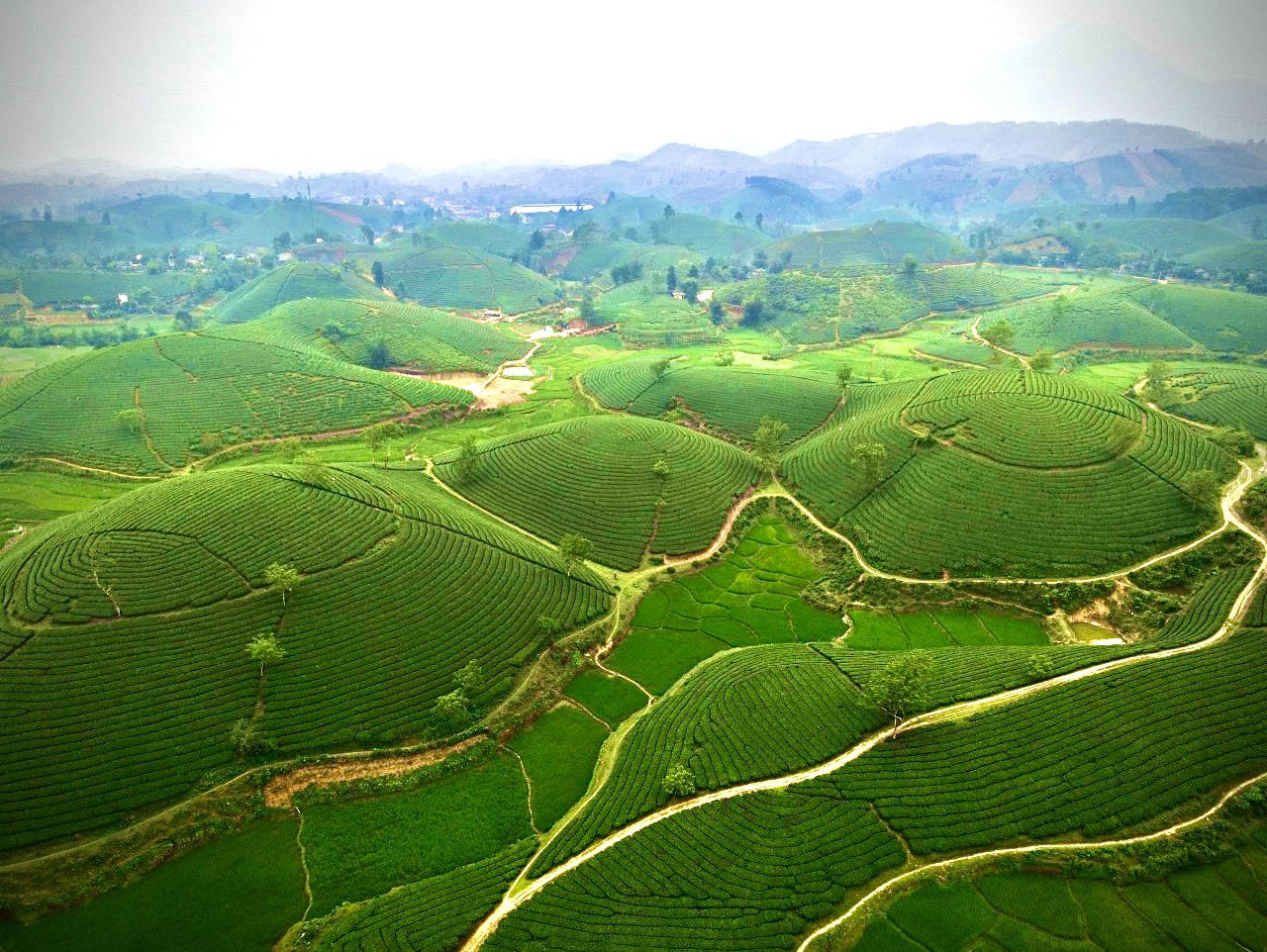 Phú Thọ dành 5 tỷ đồng xúc tiến du lịch trong năm 2023