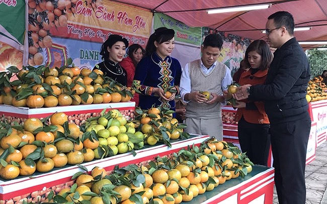 Nông nghiệp hàng hoá tạo ra những thay đổi đột phá cho tỉnh Tuyên Quang