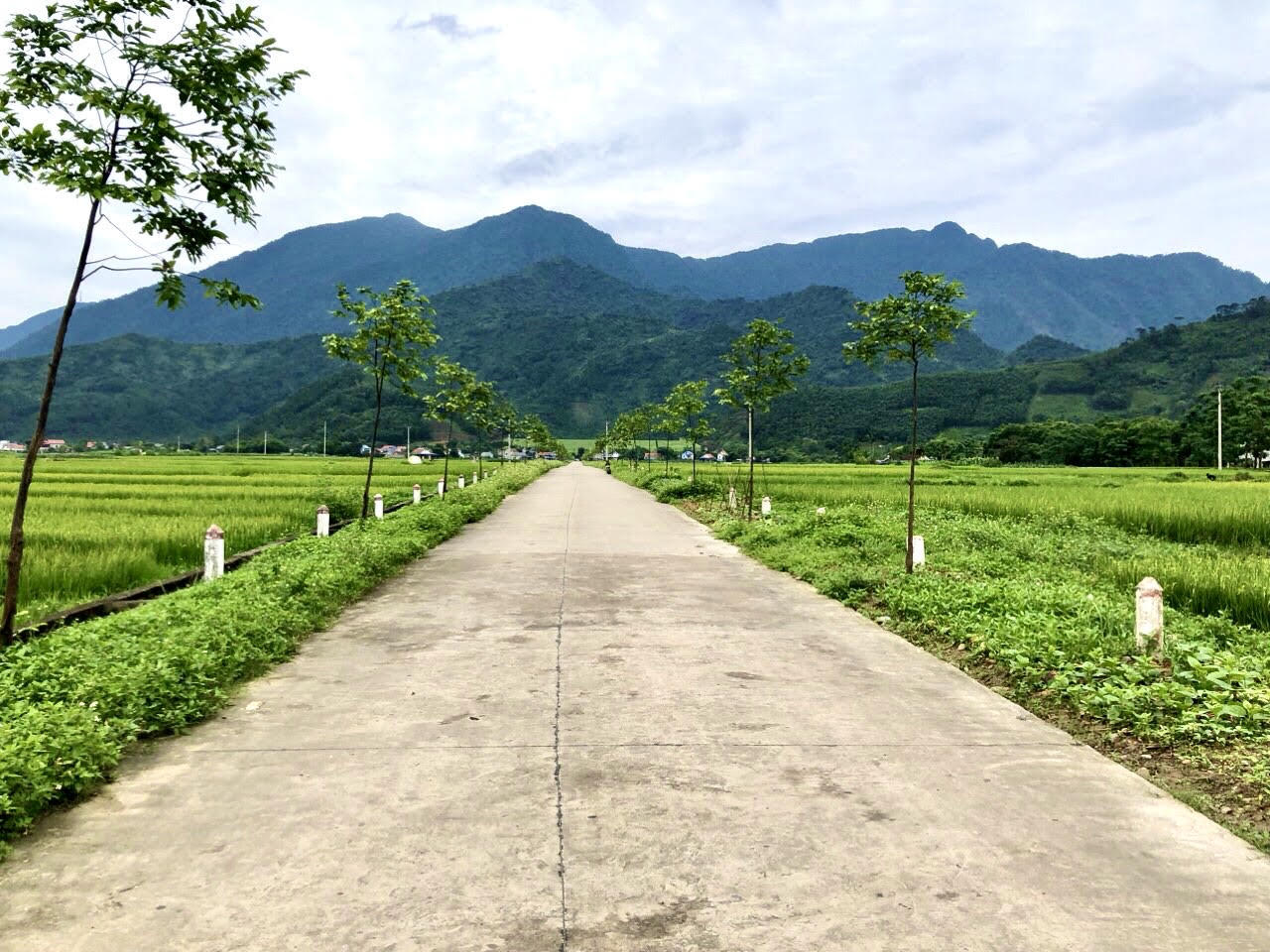 Đại Từ (Thái Nguyên) quyết tâm, chung sức xây dựng huyện Nông thôn mới