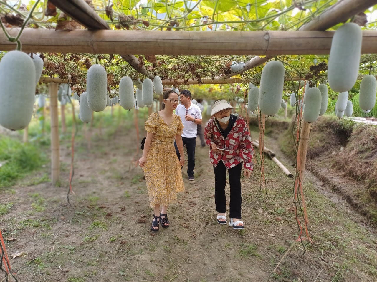 Khai mạc Tuần Văn hoá - Du lịch Bắc Kạn năm 2023