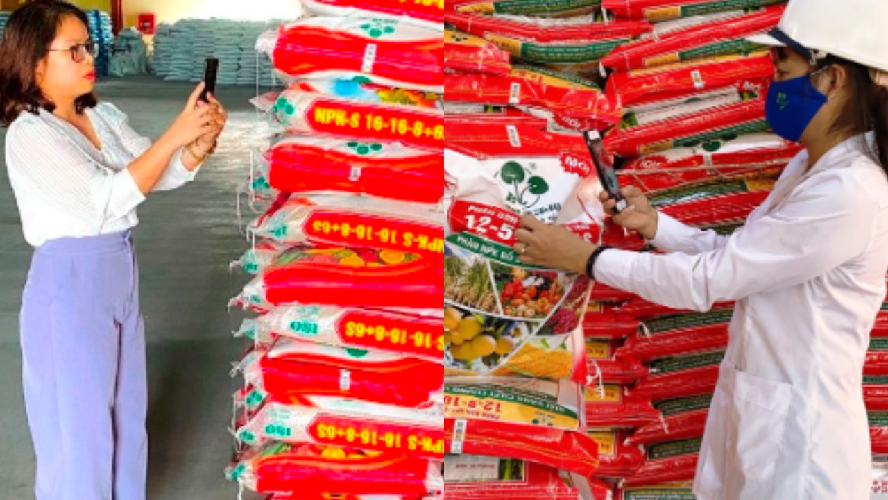 Công ty Supe Lâm Thao - Hiệu quả sau hơn 2 năm áp dụng tem gắn mã QR-code