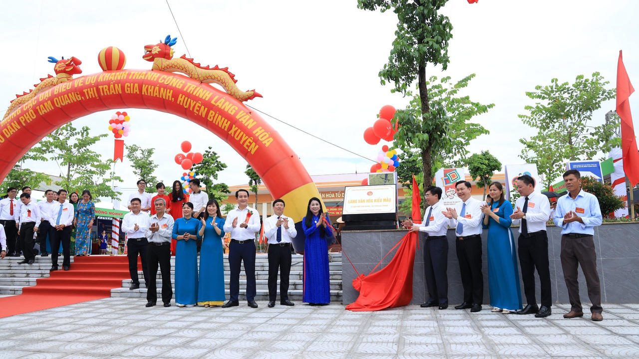 Đưa vào hoạt động khu thiết chế văn hóa – thể thao tổ dân phố Tam Quang, Vĩnh Phúc