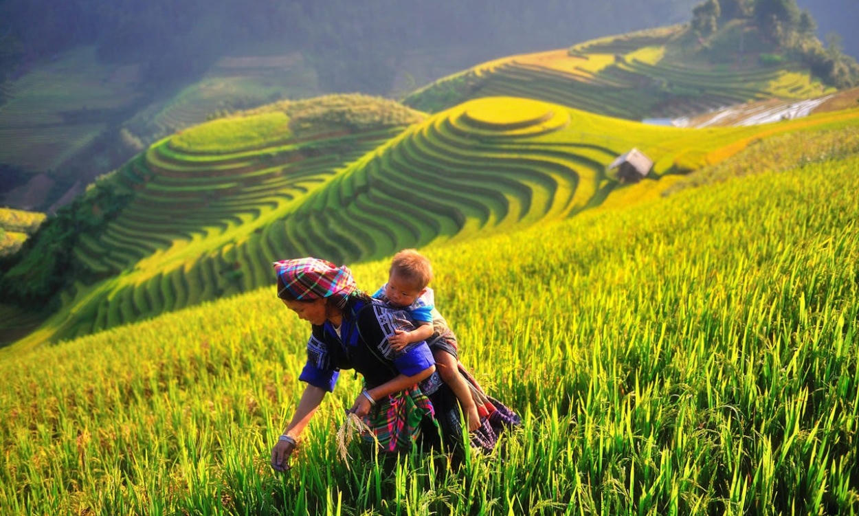 Yên Bái tổ chức nhiều hoạt động đặc sắc tại Ngày hội văn hóa các dân tộc