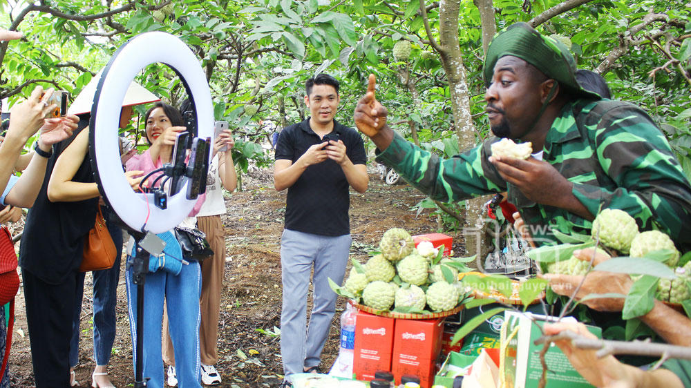 Loại quả được trồng trên núi đá, nức tiếng thơm ngon của Thái Nguyên 