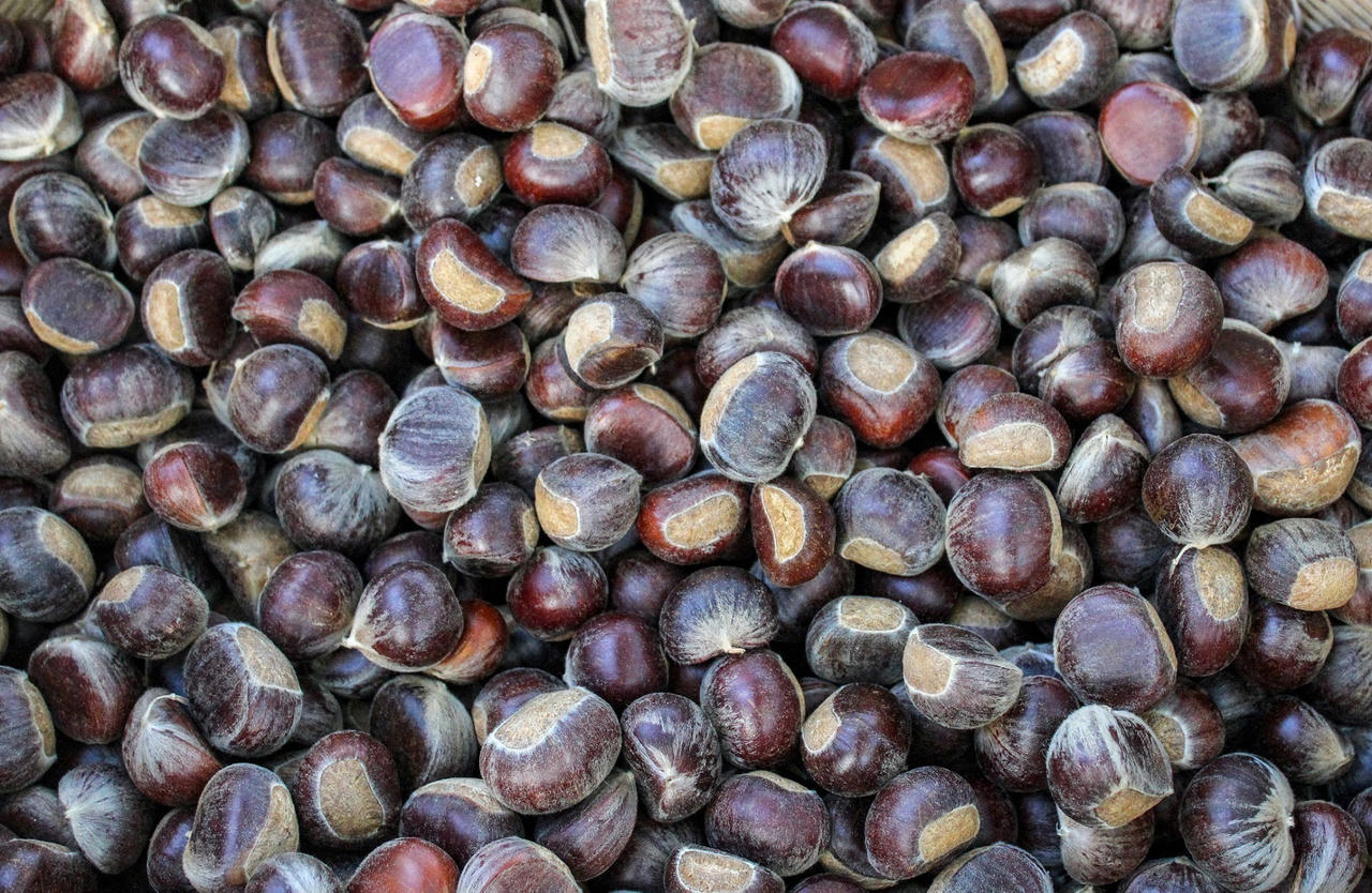 Nỗ lực phát triển thương hiệu đặc sản nổi tiếng hạt dẻ Trùng Khánh