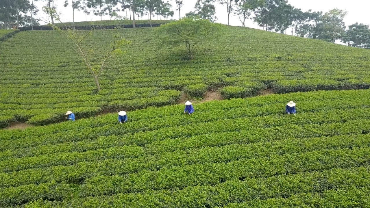 Thanh Ba sẵn sàng cho ngày hội nông thôn mới 