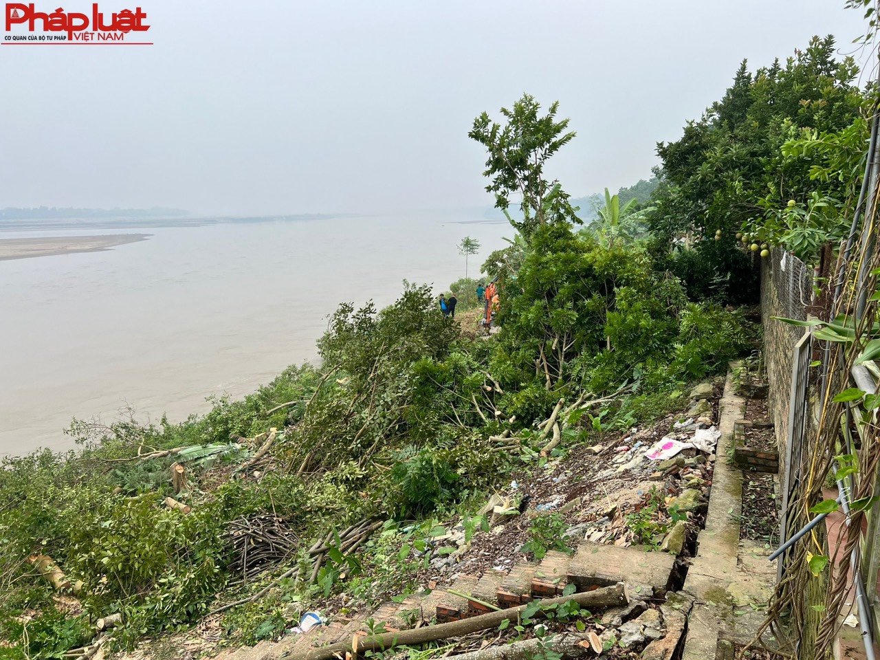 Sạt lở bờ kè đê tả sông Thao, 3 nhà dân 'đối mặt' nguy hiểm