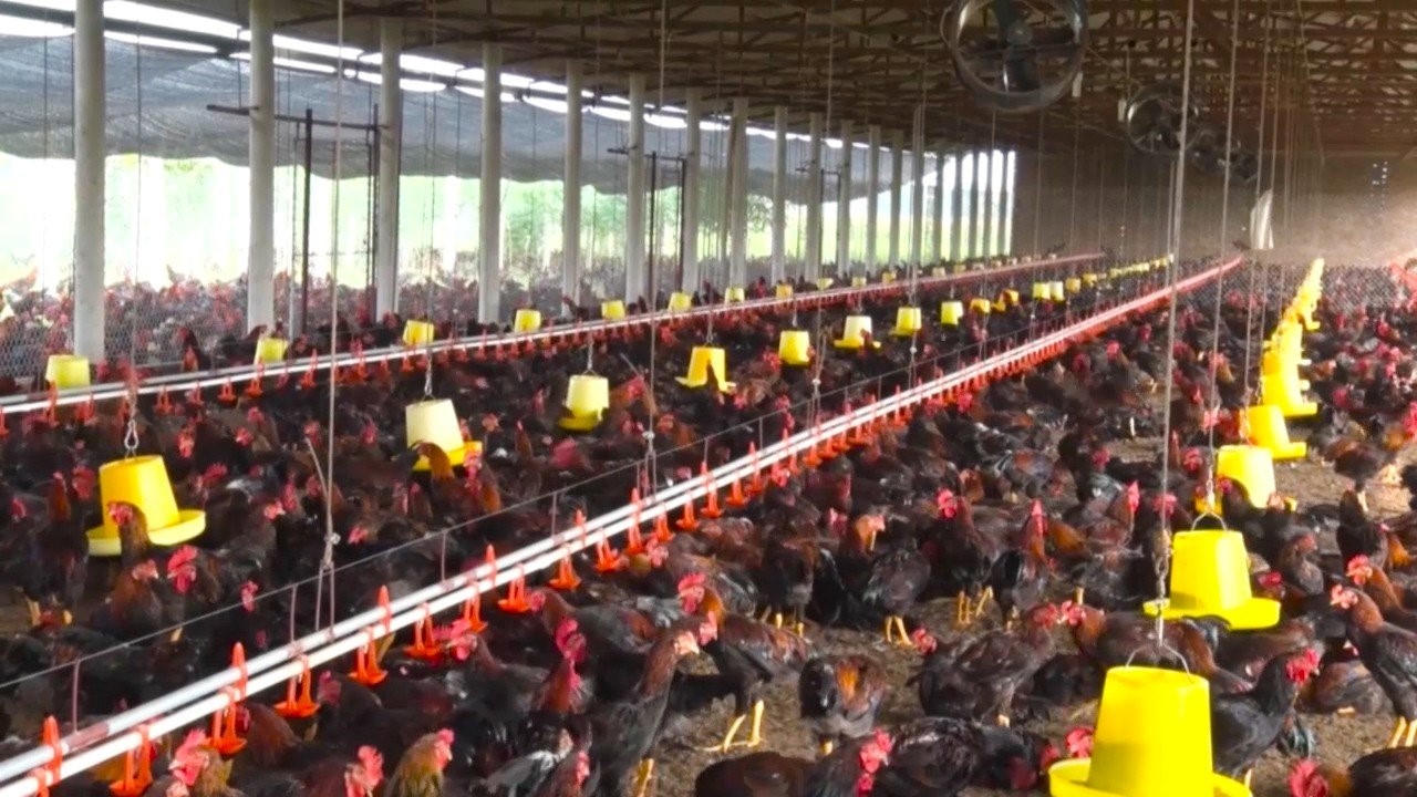 Diện mạo đổi thay từng ngày trên vùng đất Thanh Ba (Phú Thọ)