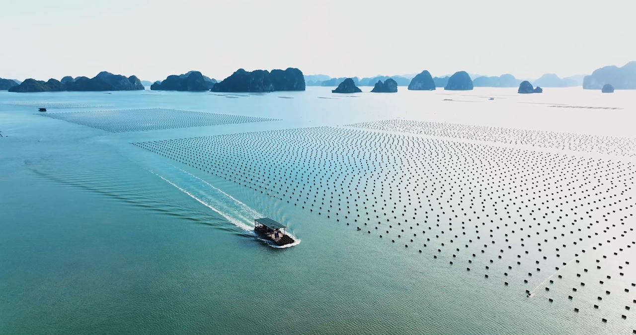 BIM Group vững vàng trong Top 50 Doanh nghiệp xuất sắc nhất Việt Nam