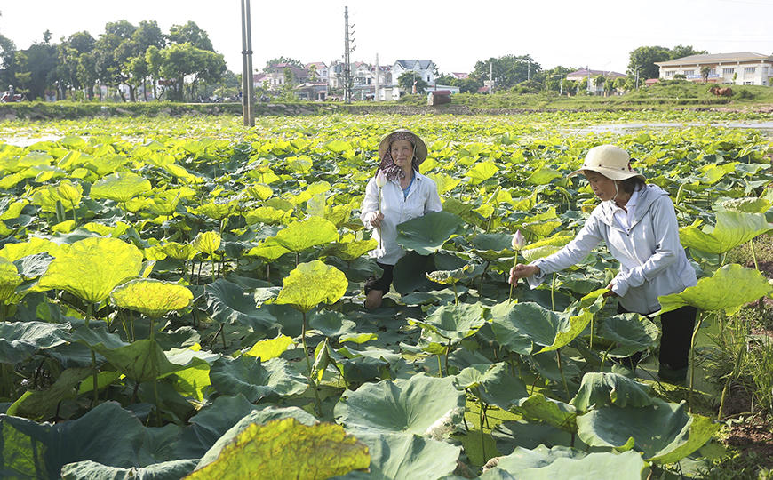 Ứng dụng khoa học công nghệ trong xây dựng Làng văn hóa kiểu mẫu ở Vĩnh Phúc