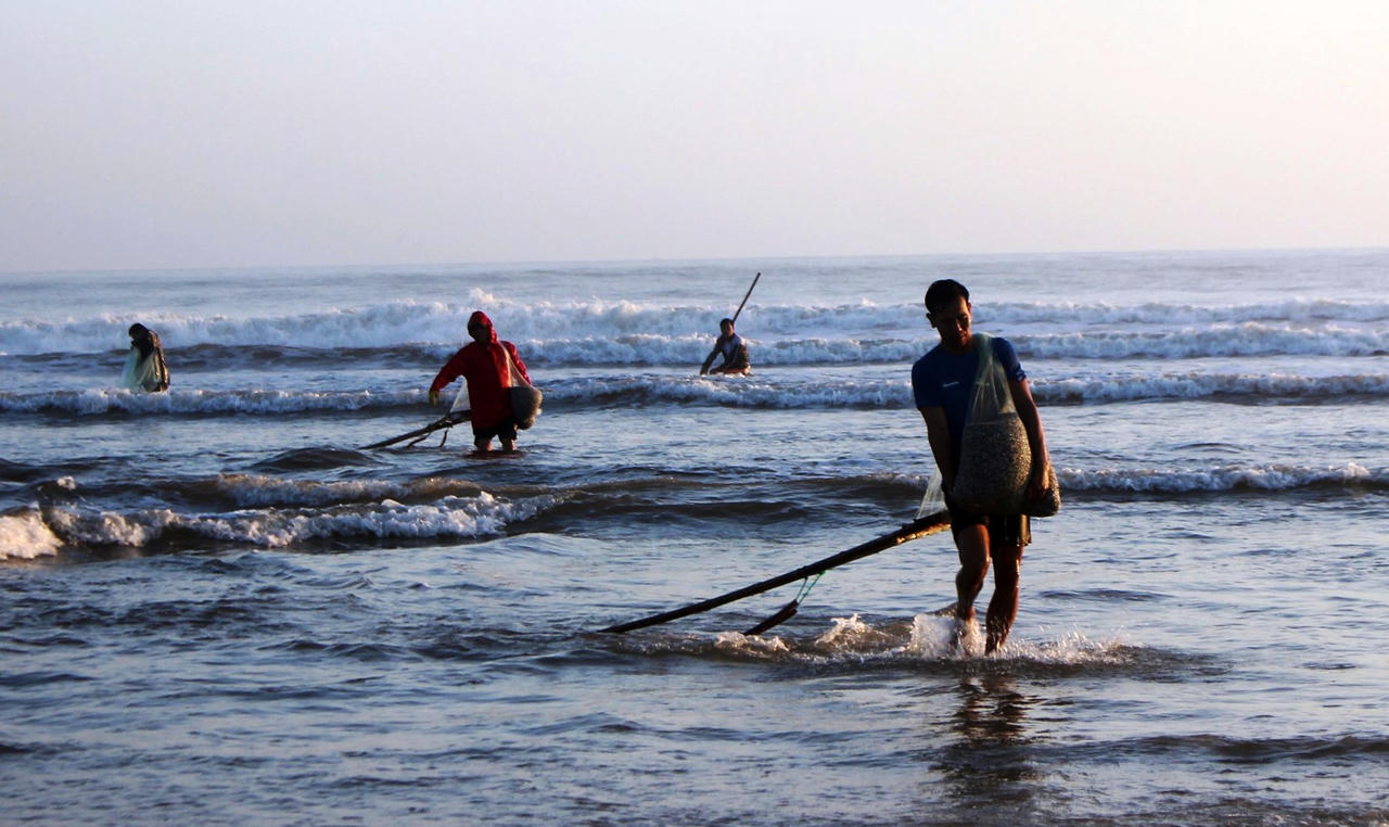 Săn 'lộc biển' đầu năm, ngư dân Quảng Nam kiếm tiền triệu mỗi ngày