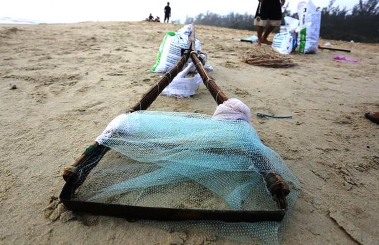 Săn 'lộc biển' đầu năm, ngư dân Quảng Nam kiếm tiền triệu mỗi ngày