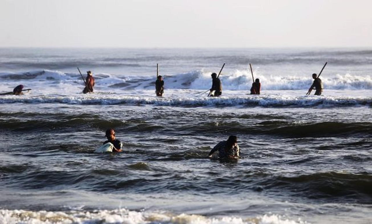 Săn 'lộc biển' đầu năm, ngư dân Quảng Nam kiếm tiền triệu mỗi ngày