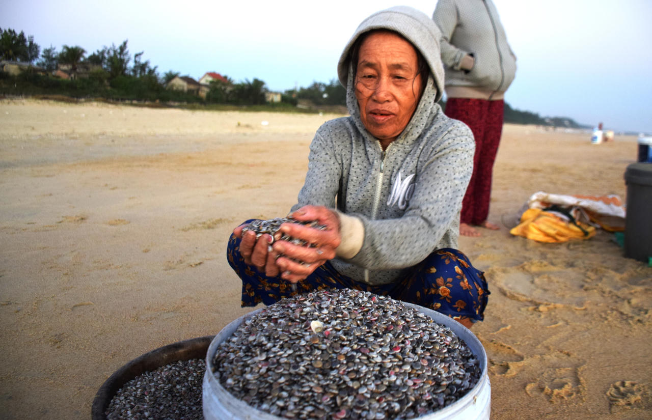 Săn 'lộc biển' đầu năm, ngư dân Quảng Nam kiếm tiền triệu mỗi ngày