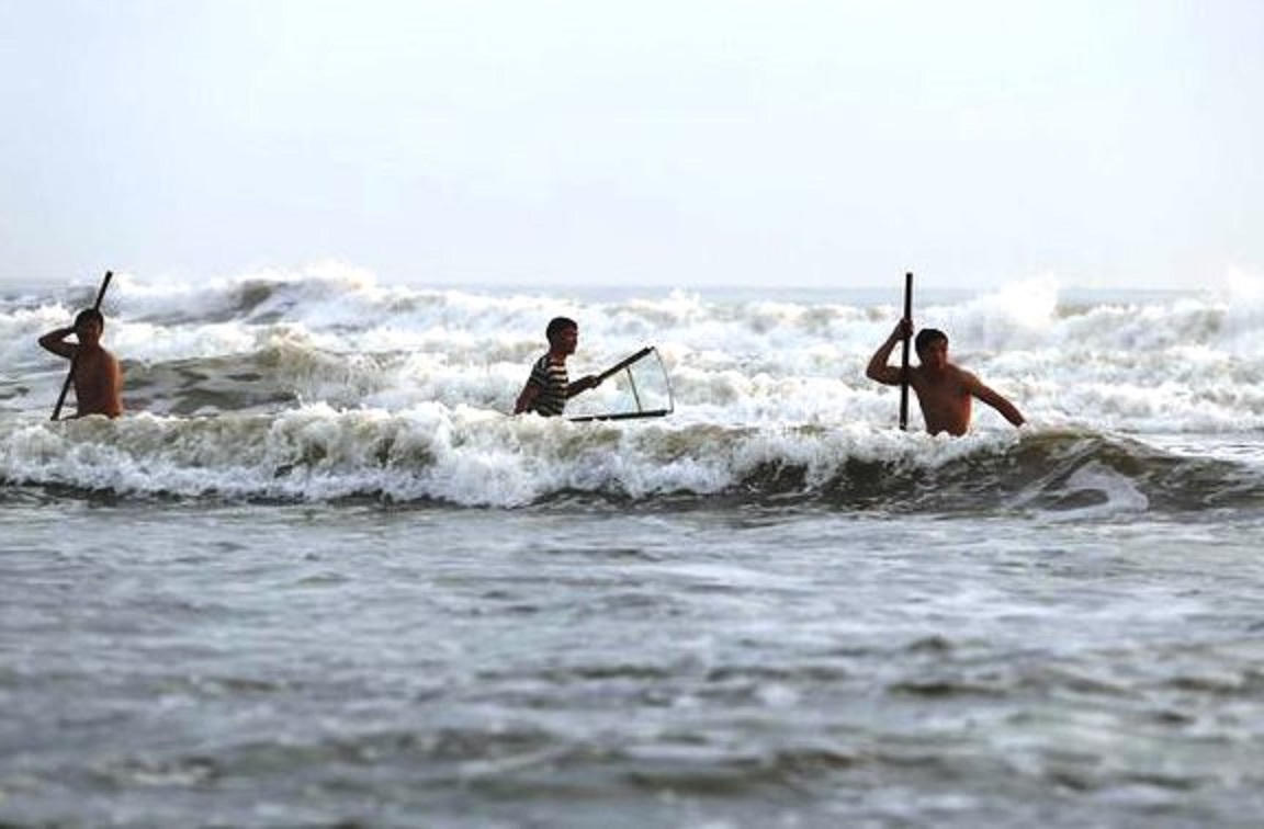 Săn 'lộc biển' đầu năm, ngư dân Quảng Nam kiếm tiền triệu mỗi ngày
