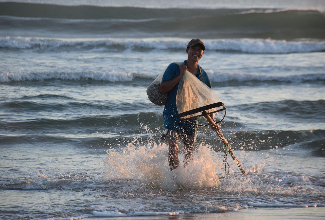 Săn 'lộc biển' đầu năm, ngư dân Quảng Nam kiếm tiền triệu mỗi ngày