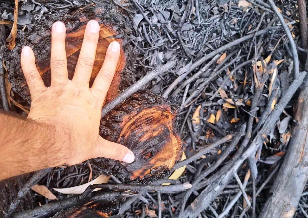 Đốt rừng để diễn tập chữa cháy - Kiểm lâm Quảng Nam nói gì?